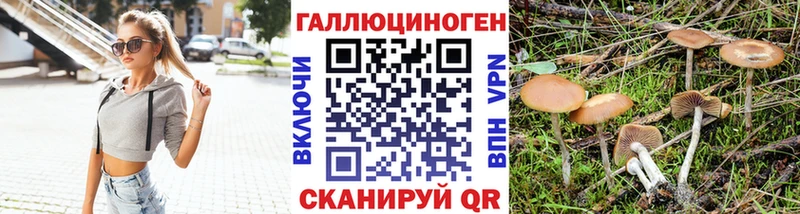 ссылка на мегу зеркало  сколько стоит  Барабинск  Галлюциногенные грибы Psilocybe 